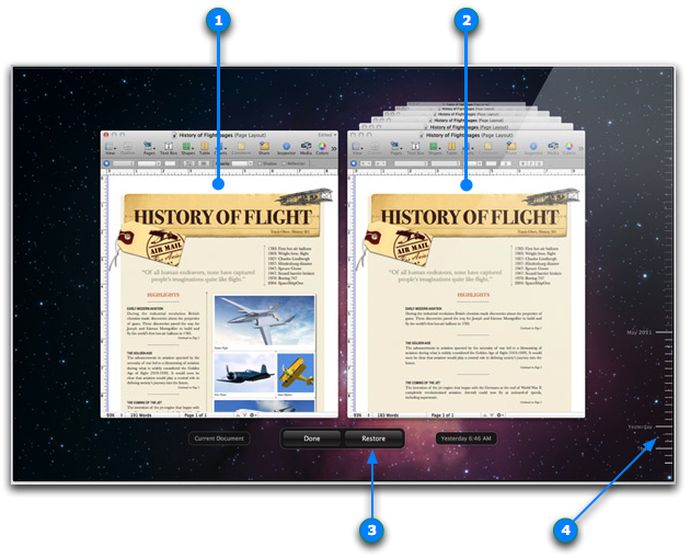 Good Example: Document History