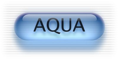 Apple Aqua: Exploring the Legacy Of MacOS X User Interface